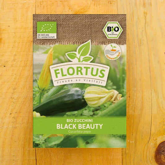 Zucchini Black Beauty