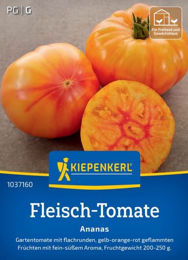 Fleisch-Tomate Ananas