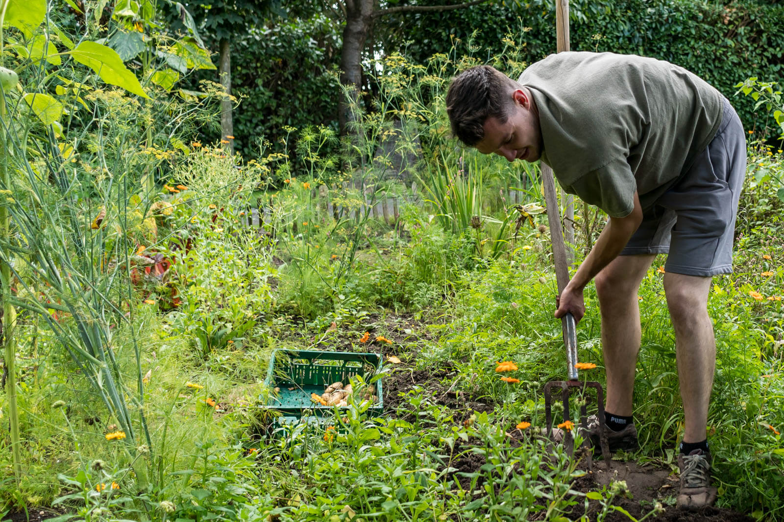 Gartenartikel
