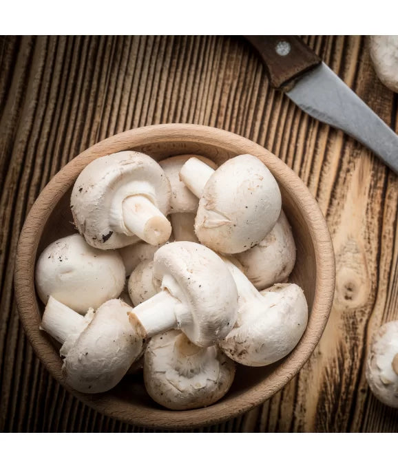 Weiße Champignons Set