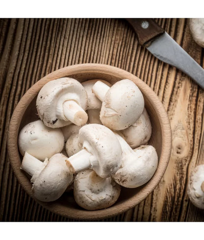 Weiße Champignons Set