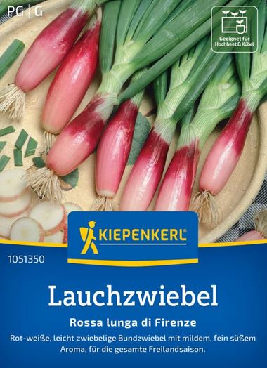 Lauchzwiebel Rossa lunga di Firenze