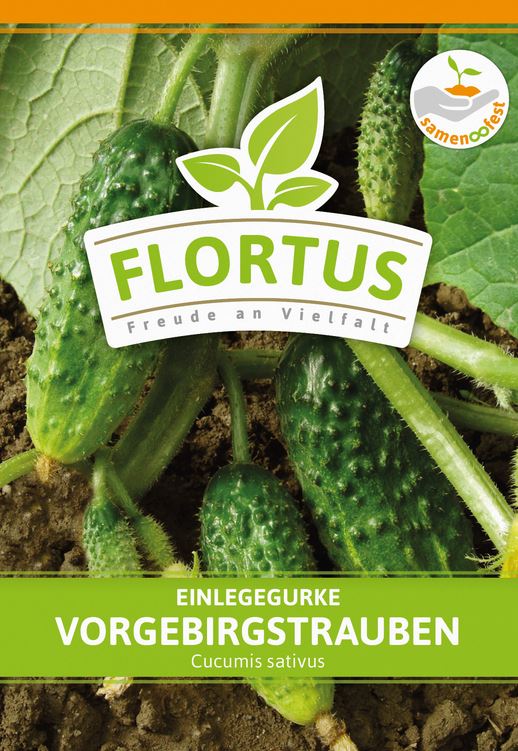 Einlegegurke Vorgebirgstrauben