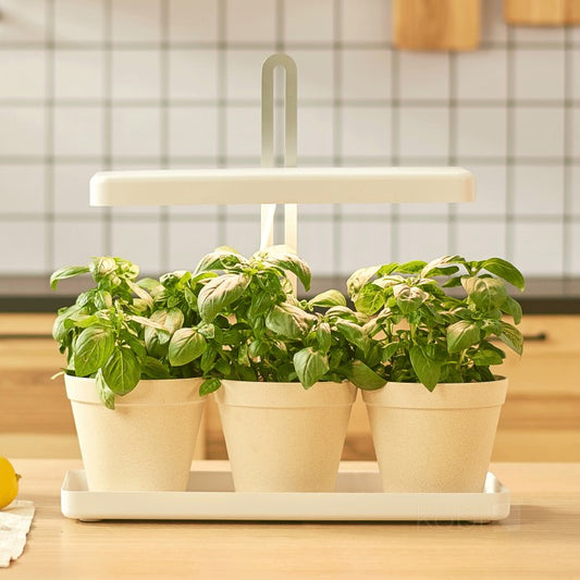 LED Pflanzenlampe