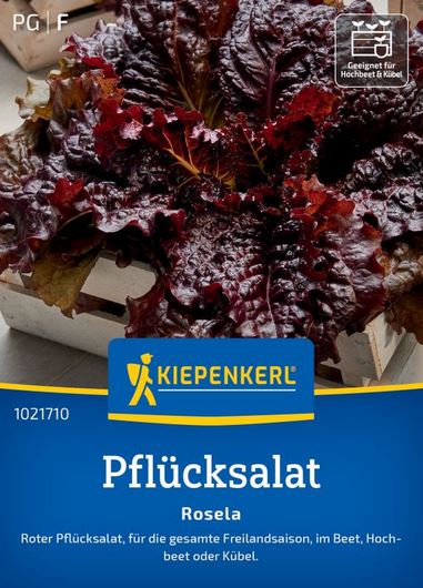 Pflücksalat Rosela