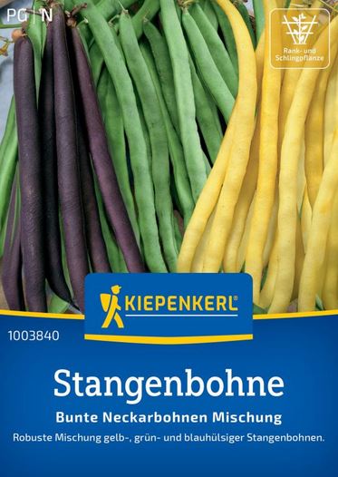 Stangenbohne Bunte Neckarbohnen Mischung