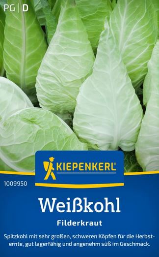 Weißkohl Filderkraut