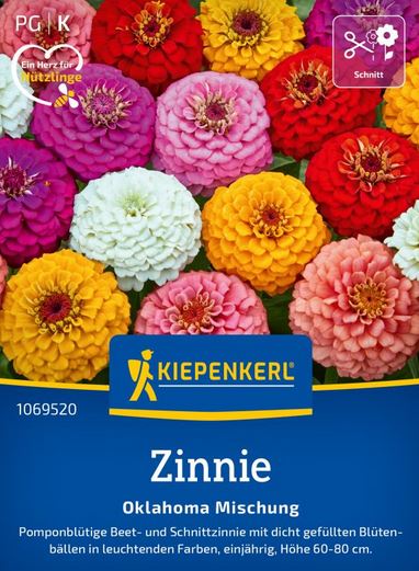 Zinnien