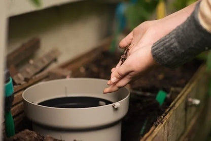 Wurmkomposter direkt im (Hoch) beet