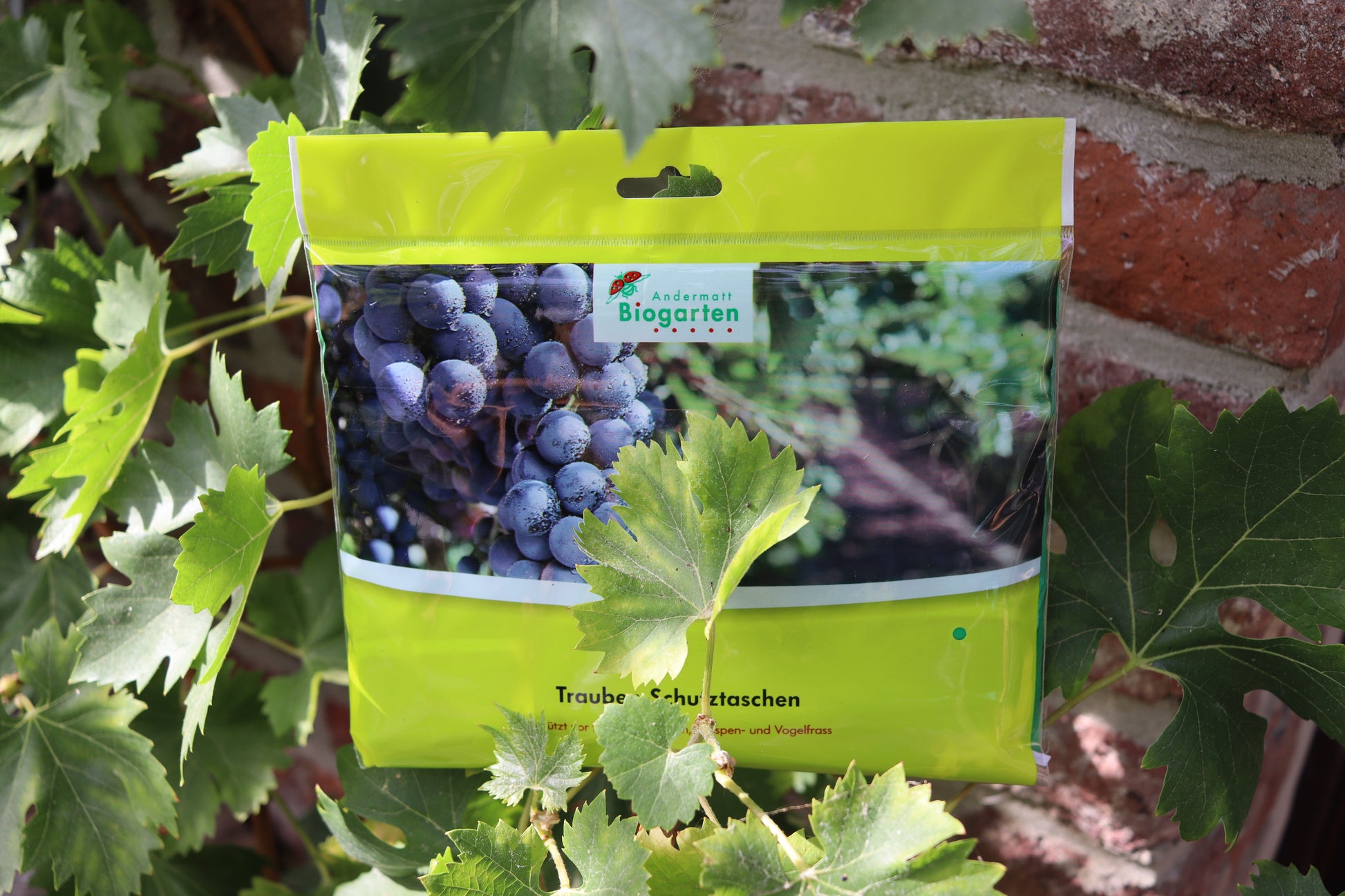 Trauben-Schutztasche