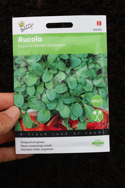 Rauke (Rucola) 