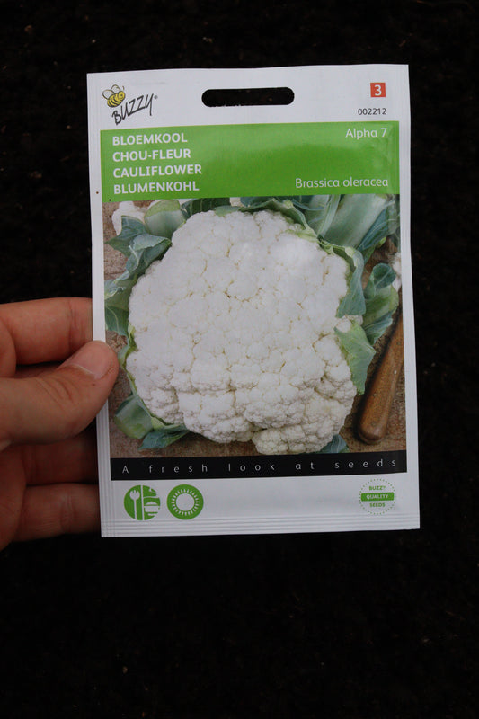Blumenkohl 