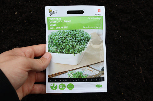 Gartenkresse Grossblättrige 