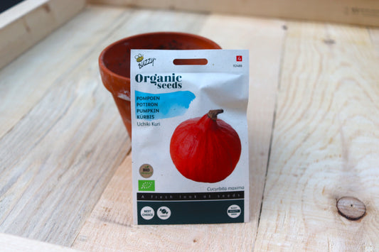 Hokkaido Kürbis BIO