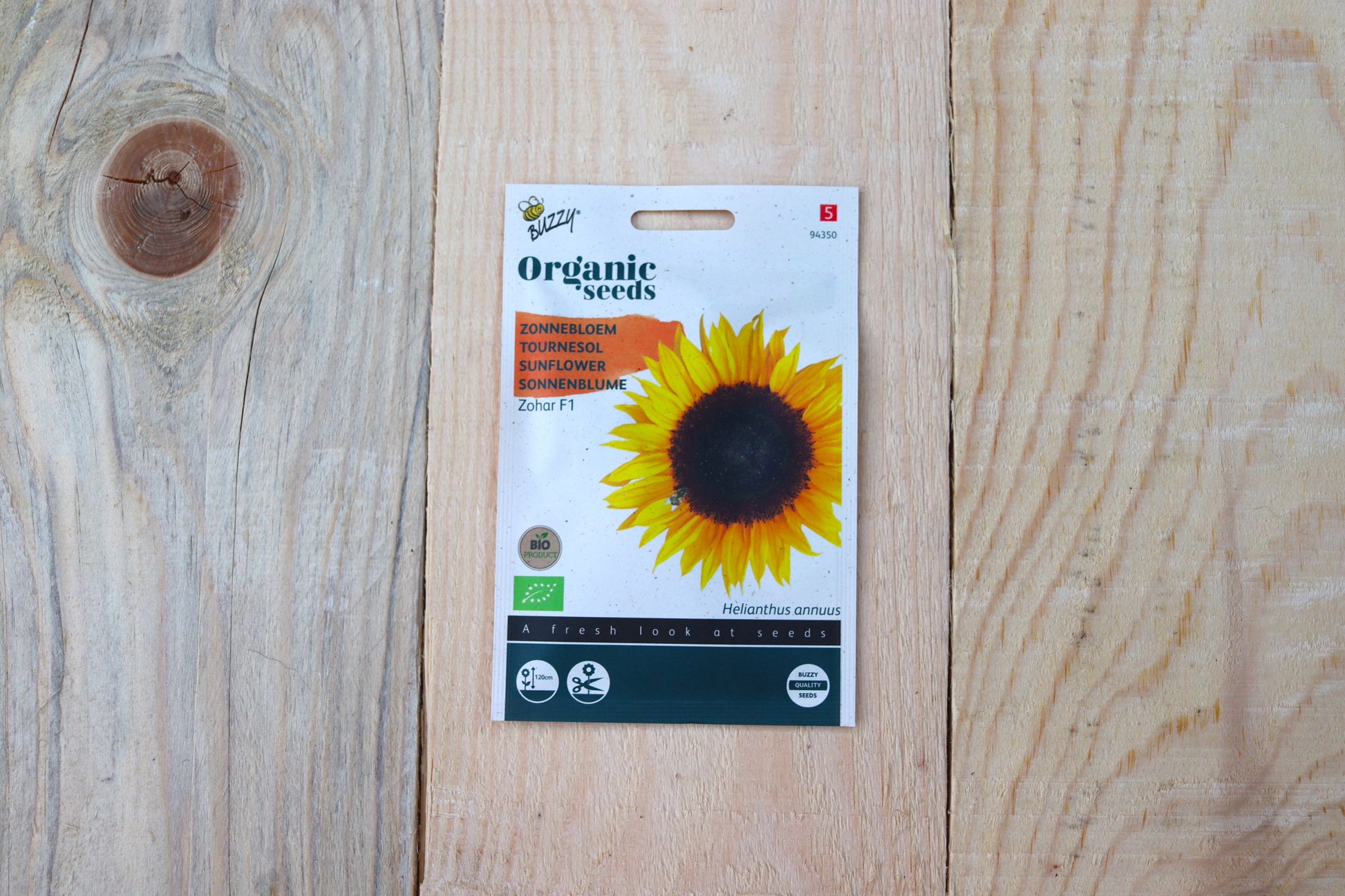 Sonnenblume Zohar BIO