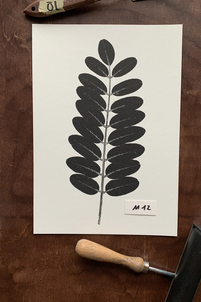 Kunstdrucke von echten Blättern M (21 x 30 cm)