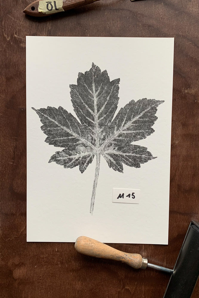 Kunstdrucke von echten Blättern M (21 x 30 cm)