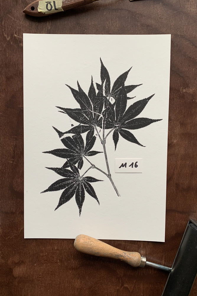 Kunstdrucke von echten Blättern M (21 x 30 cm)