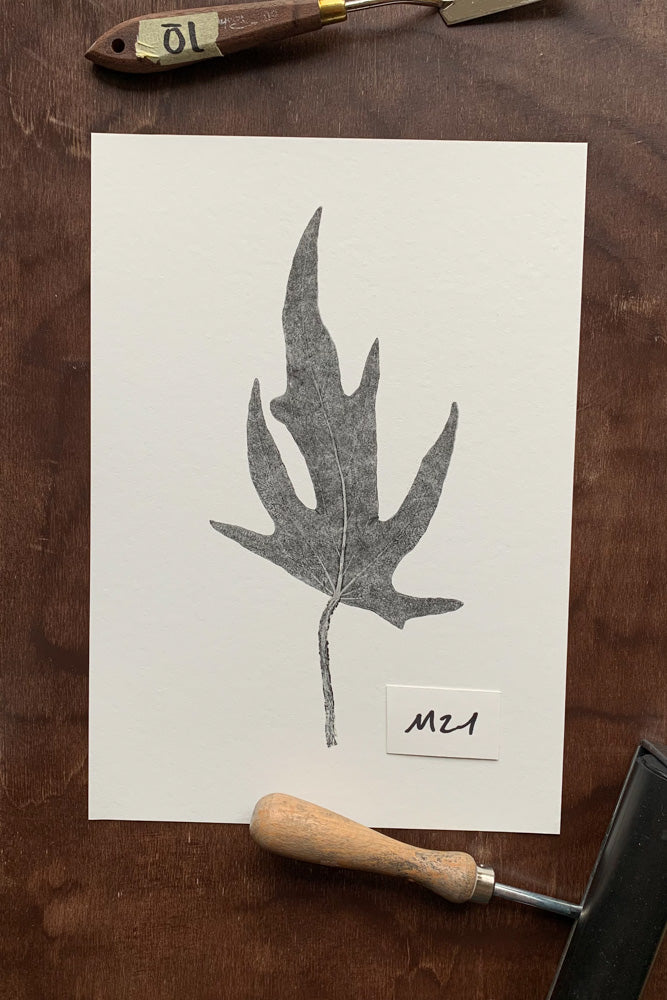 Kunstdrucke von echten Blättern M (21 x 30 cm)