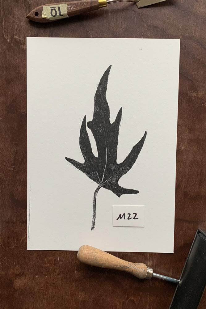 Kunstdrucke von echten Blättern M (21 x 30 cm)