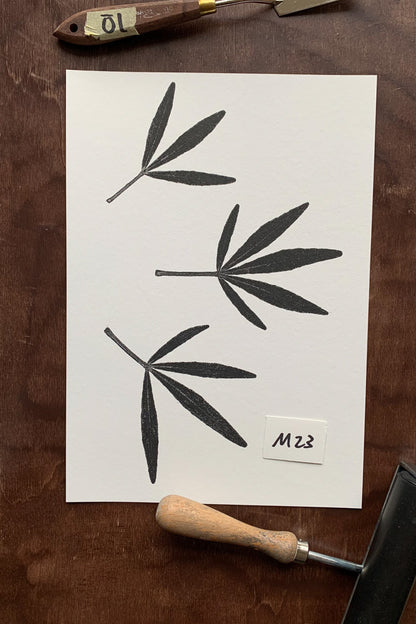 Kunstdrucke von echten Blättern M (21 x 30 cm)