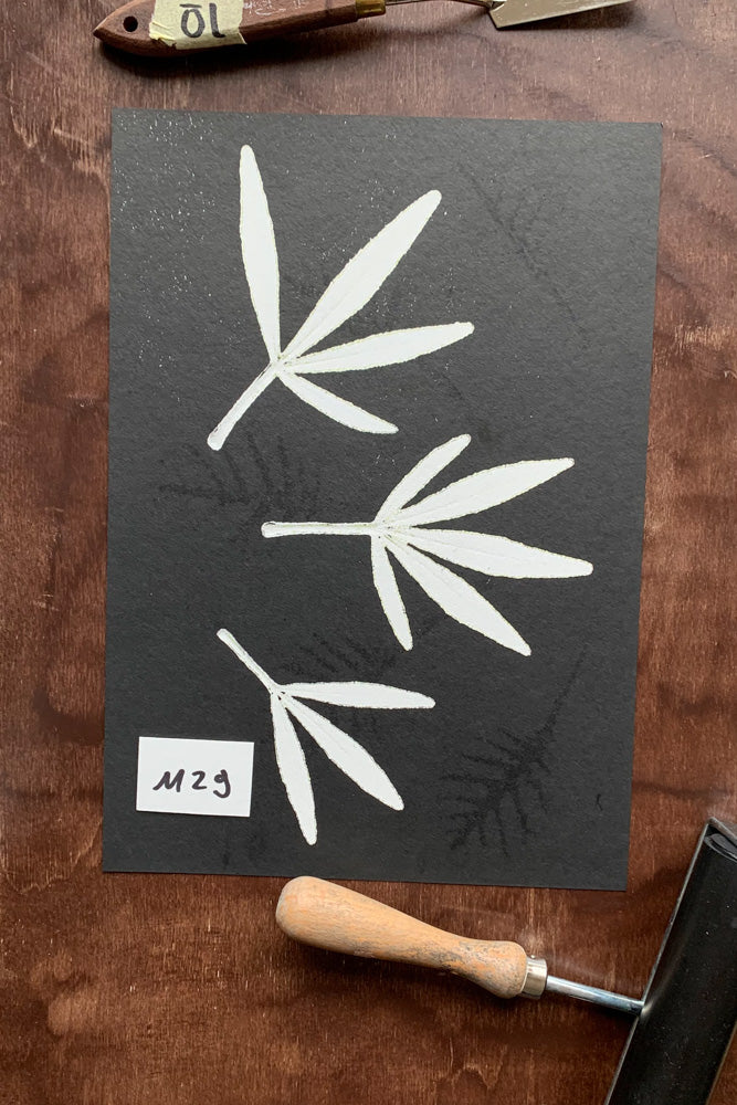 Kunstdrucke von echten Blättern M (21 x 30 cm)