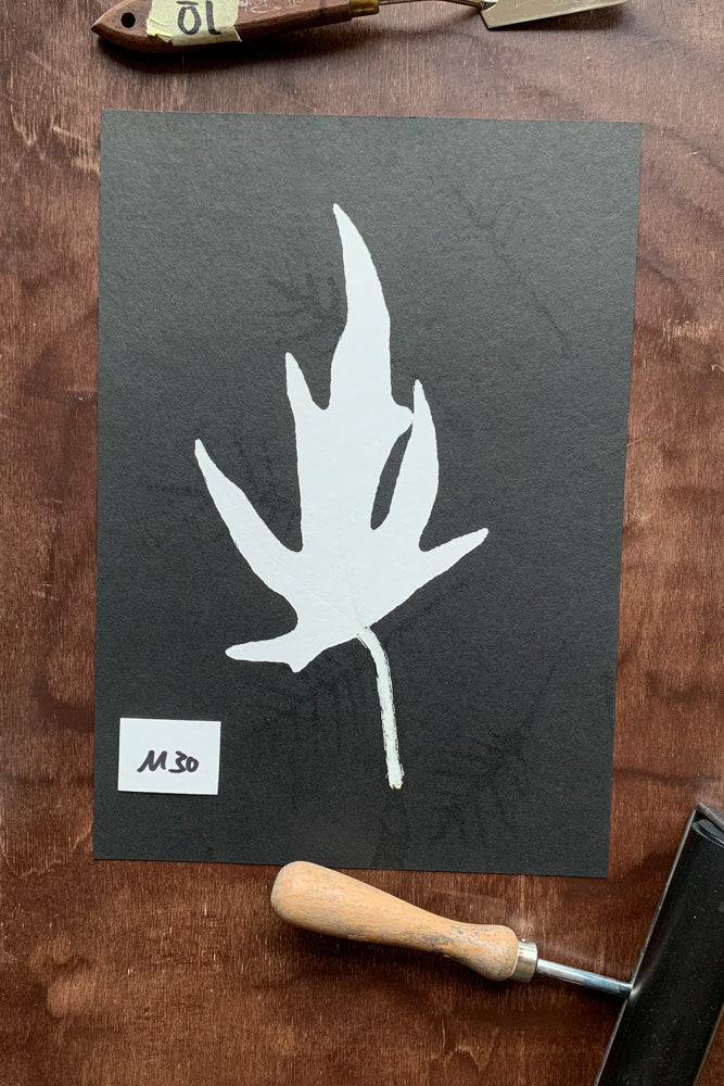 Kunstdrucke von echten Blättern M (21 x 30 cm)