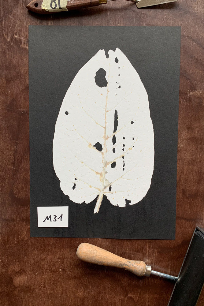 Kunstdrucke von echten Blättern M (21 x 30 cm)