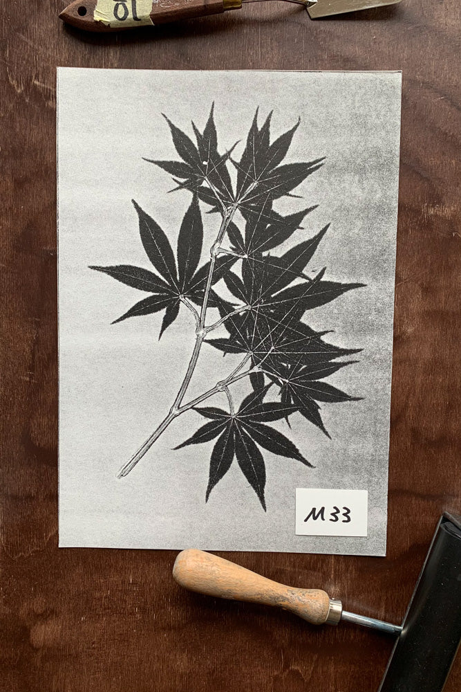 Kunstdrucke von echten Blättern M (21 x 30 cm)