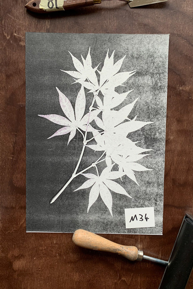 Kunstdrucke von echten Blättern M (21 x 30 cm)