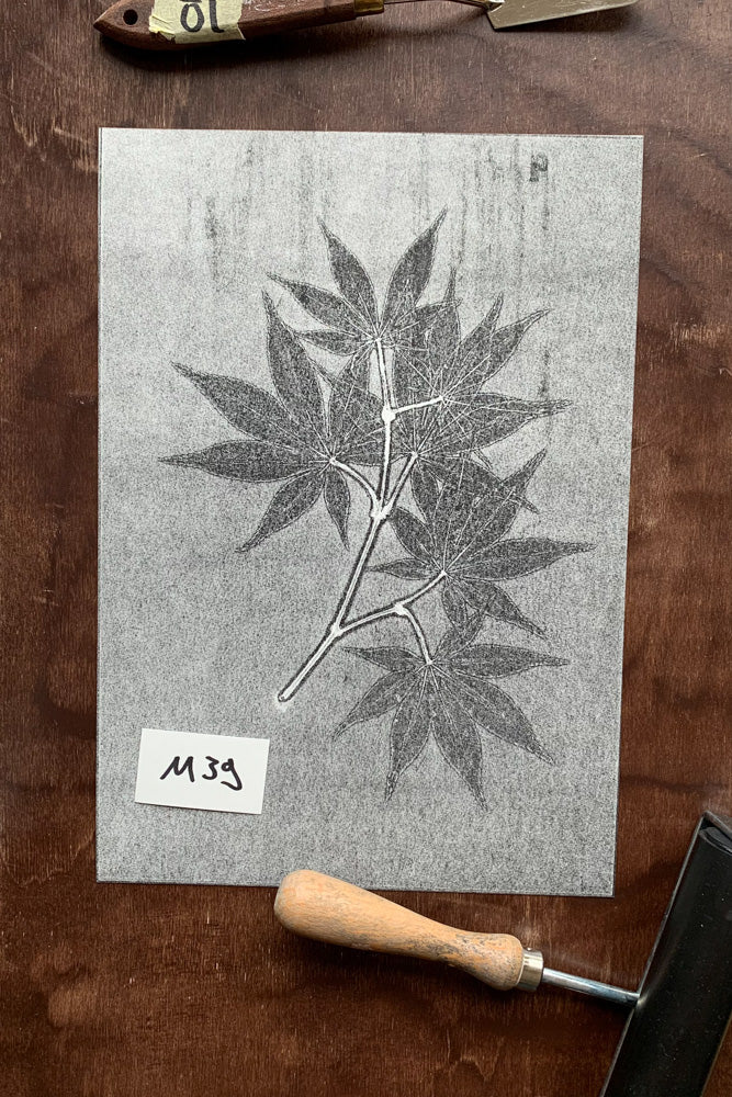 Kunstdrucke von echten Blättern M (21 x 30 cm)