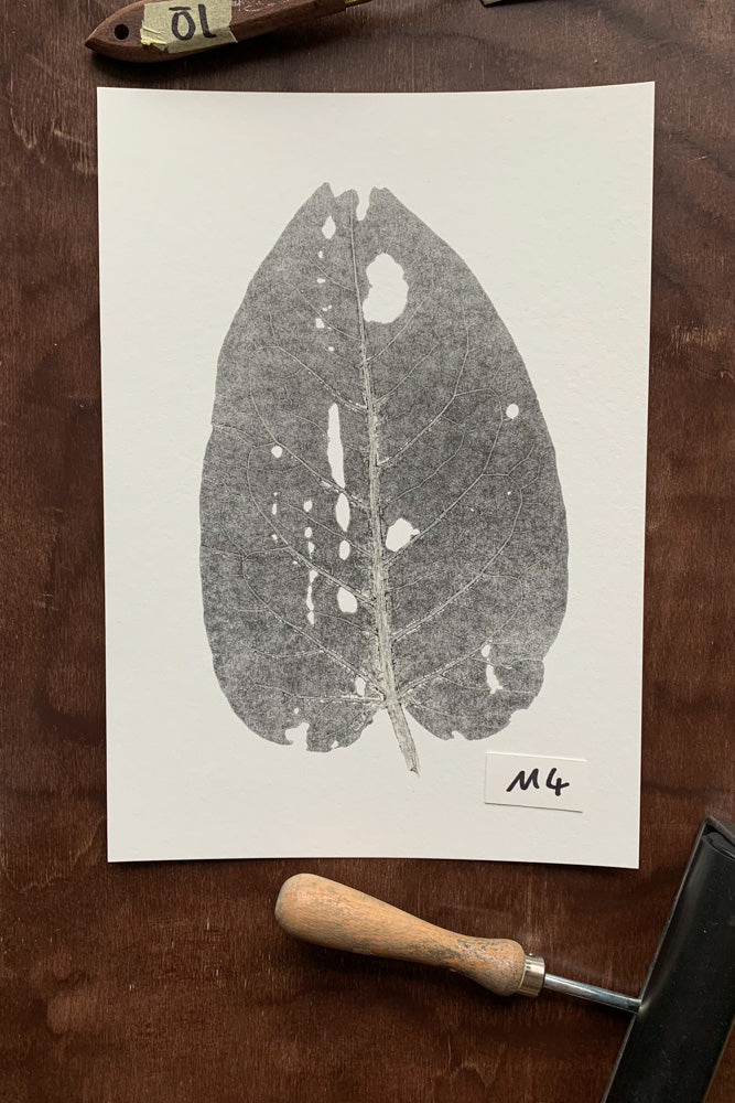 Natur Kunst