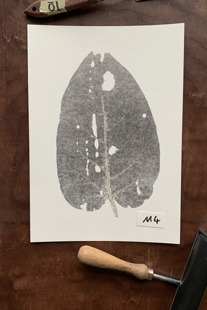Natur Kunst
