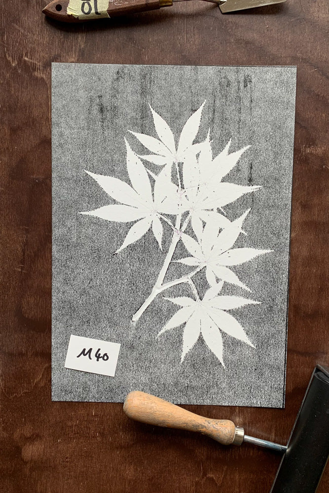 Kunstdrucke von echten Blättern M (21 x 30 cm)