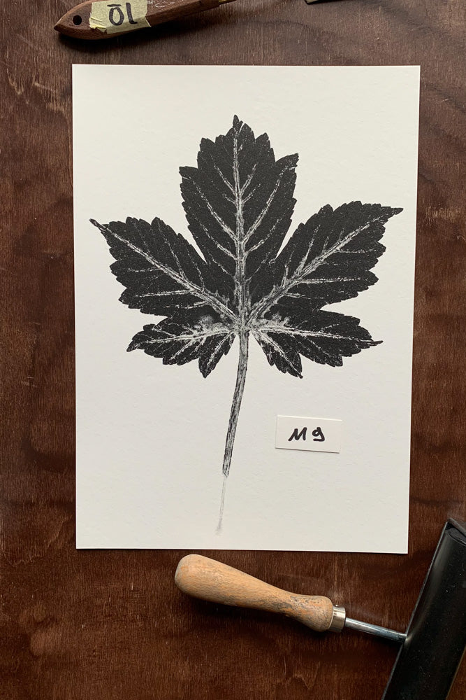 Naturkunst