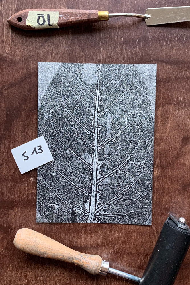 Kunstdrucke von echten Blättern S (13 x18 cm)