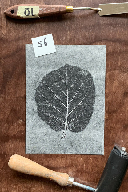 Kunstdrucke von echten Blättern S (13 x18 cm)