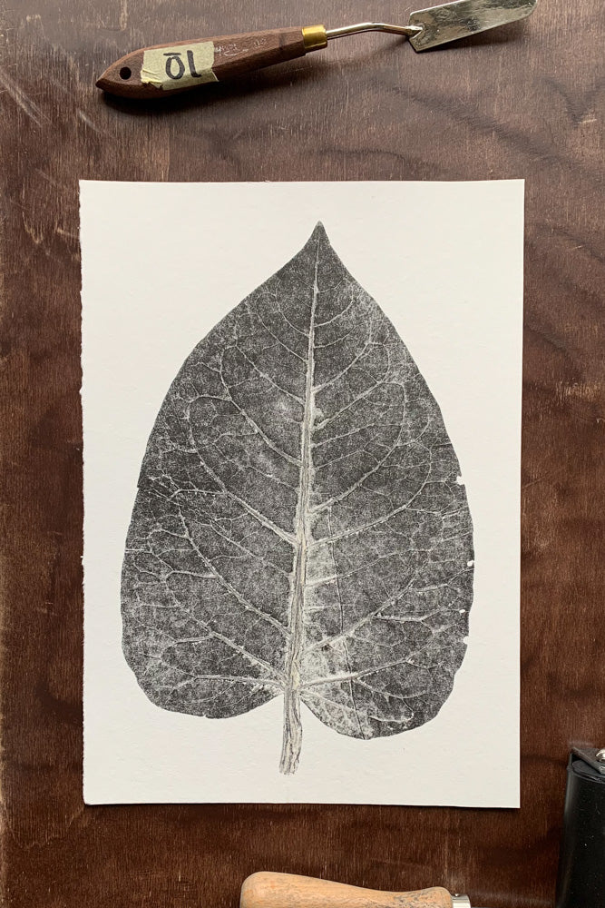 Kunstdrucke von echten Blättern