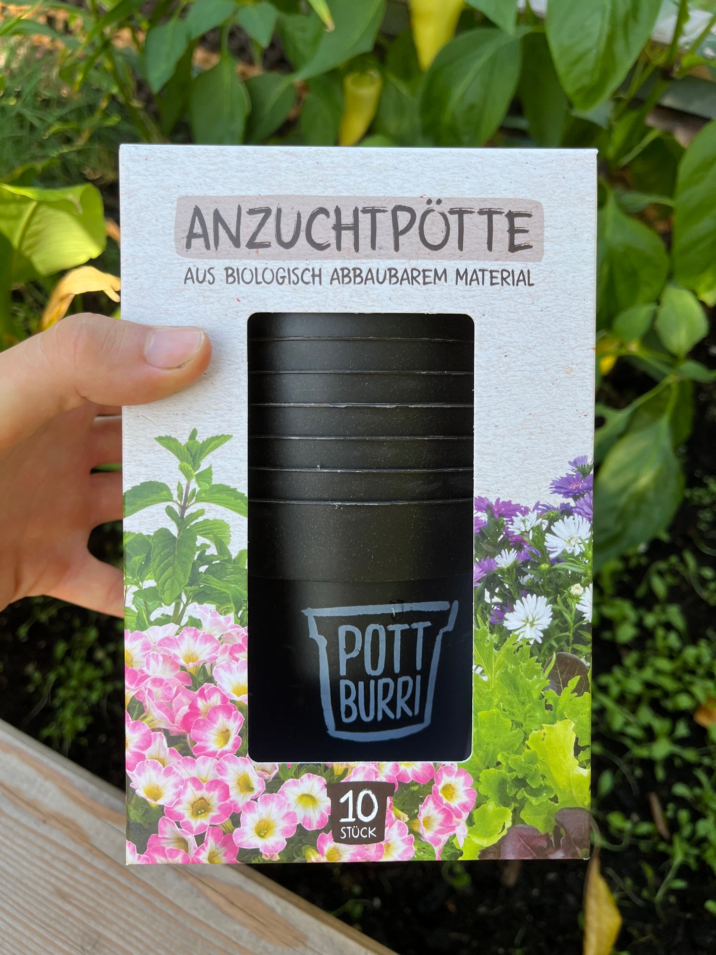 PottBurri Anzuchttöpfe