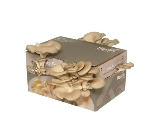 Pilzzucht Set